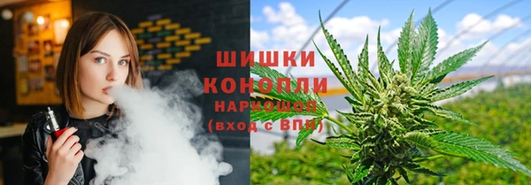 кокс Арсеньев
