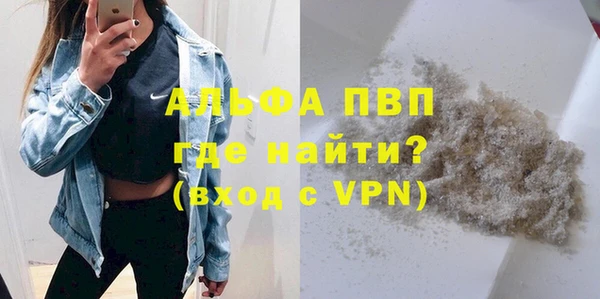 СК Алексин