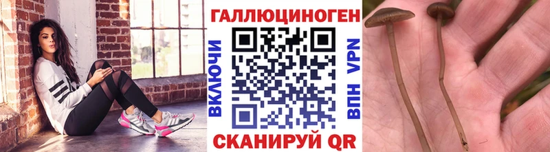 Псилоцибиновые грибы прущие грибы  Артёмовский 